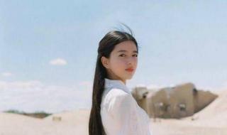 天津工业大学排名