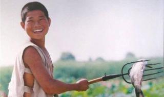 小兵张嘎电视剧 小兵张嘎电视剧