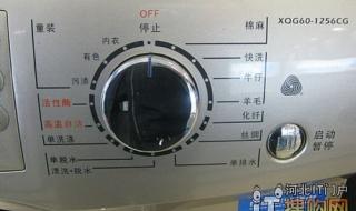 小天鹅衣诺 小天鹅衣诺