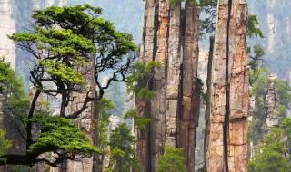 张家界旅游有哪些坑 张家界旅游有哪些坑