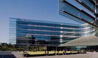 新西兰男足世界排名 新西兰男足世界排名